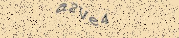 An error has occurred while getting captcha image