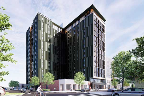 NN_ChapterAlderImage