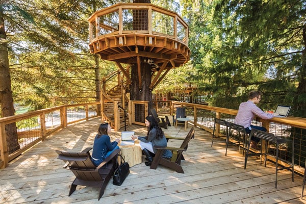TreehousesImage