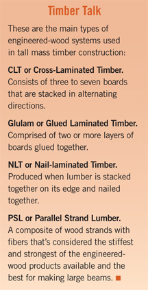 types of timber construction