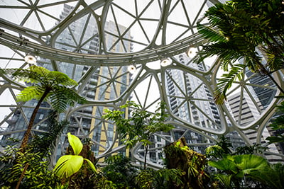 Amazon Spheres